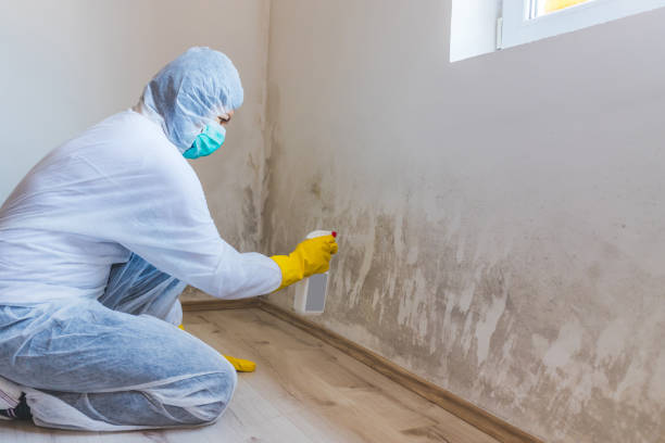 Attic mold on roof deck in Mount Holly Springs home