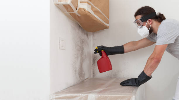 Attic Mold Remediation treatment on roof deck in Mount Holly Springs