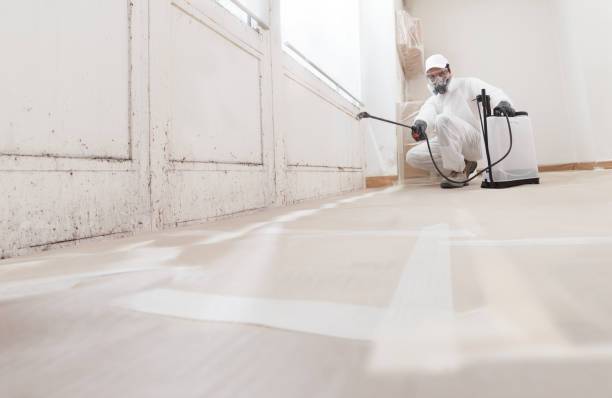 Black mold remediation team in Mount Holly Springs